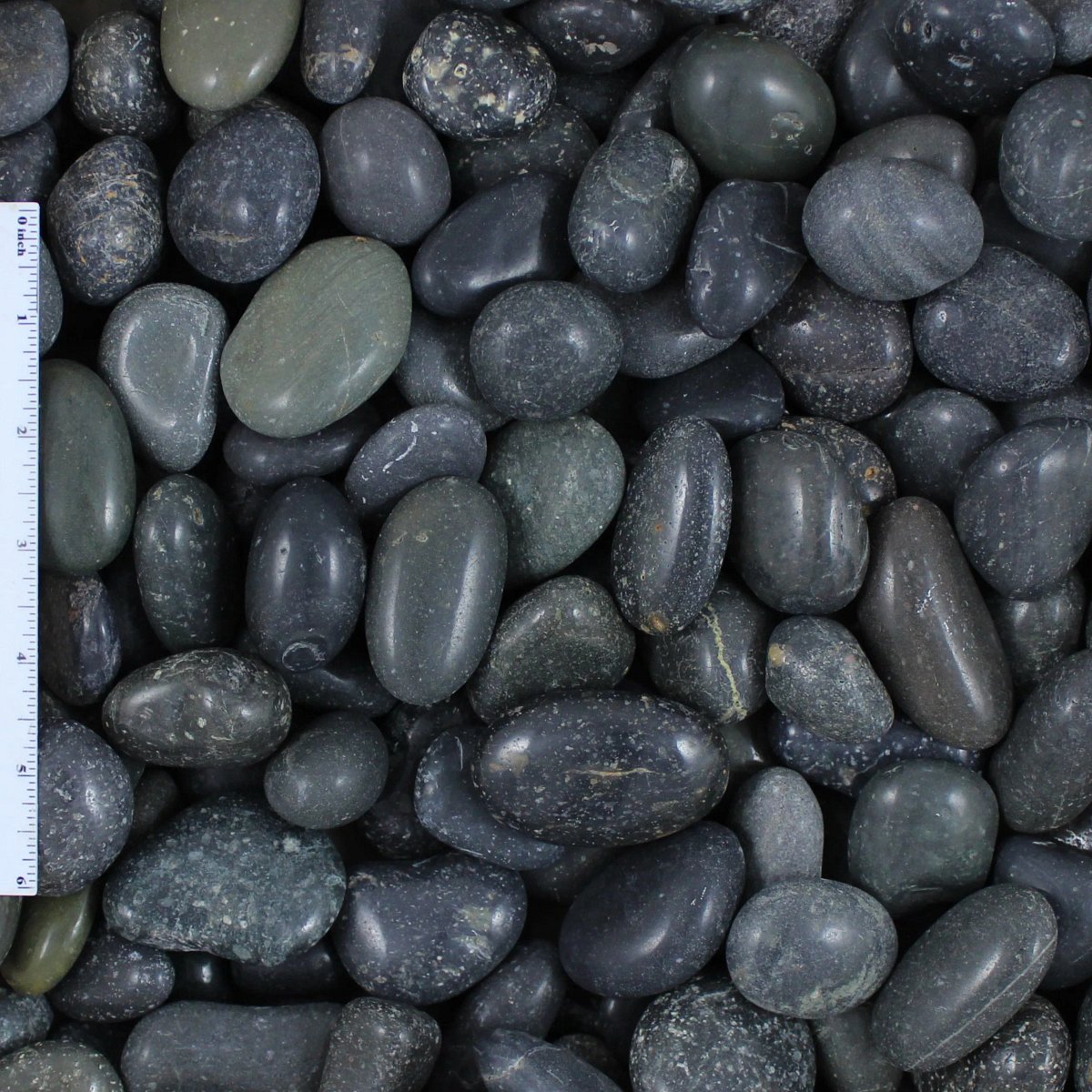 Black Mexican Beach Pebbles 1/2”-1”