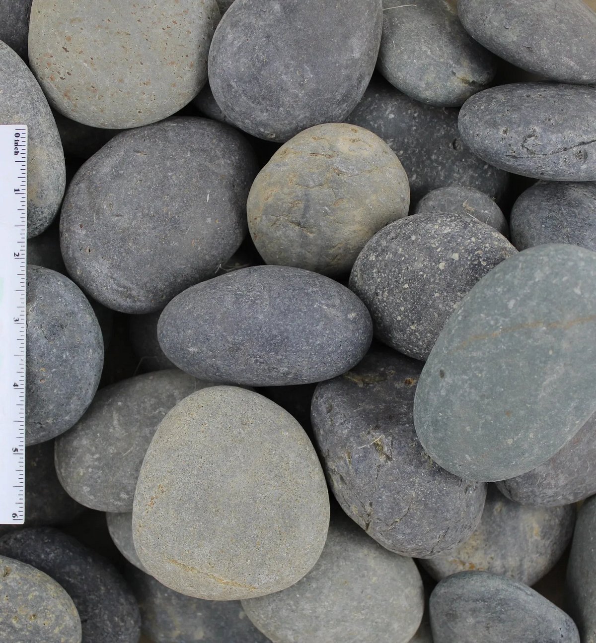 Black Mexican Beach Pebbles 2-3”,