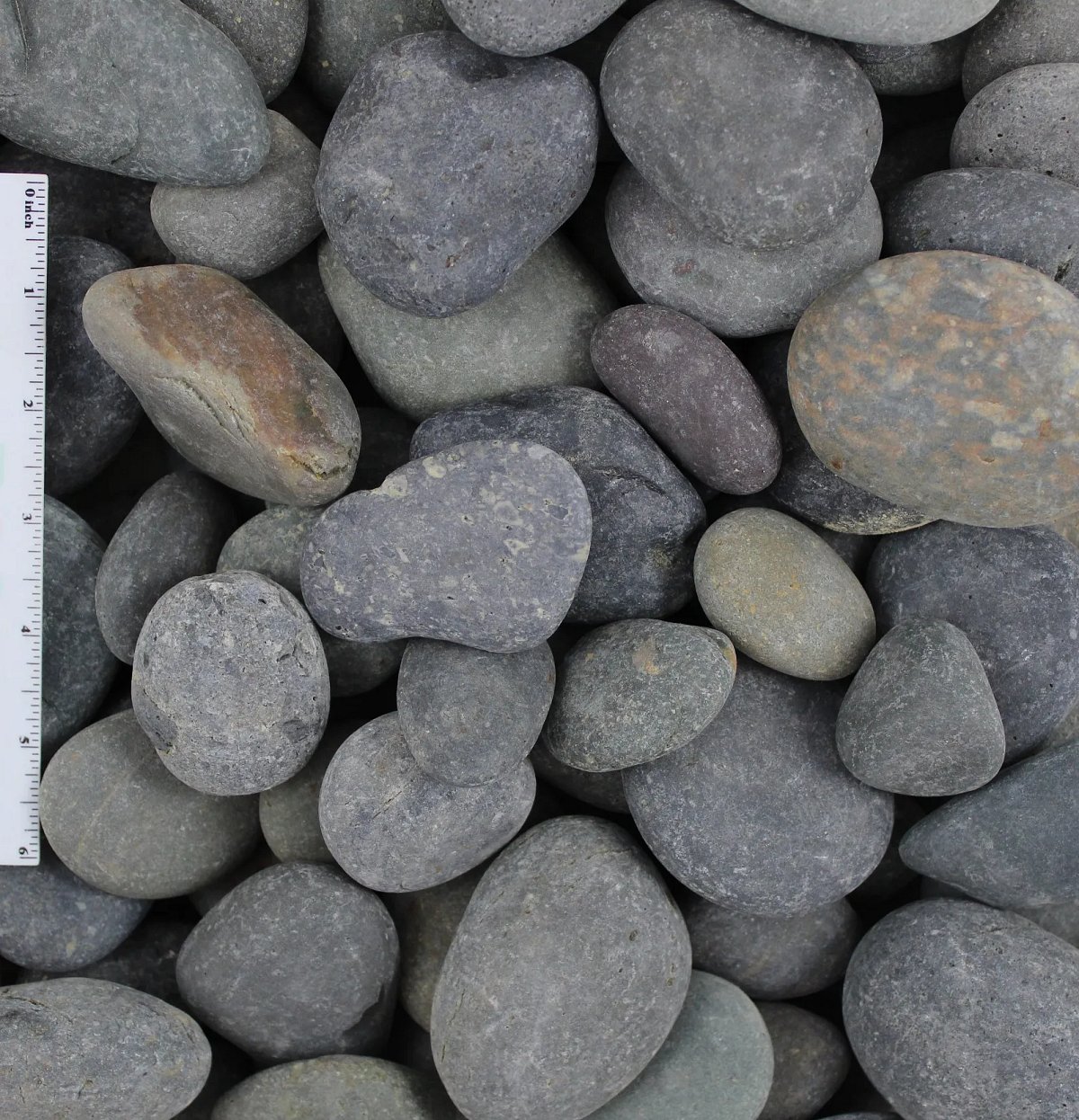 Buﬀ Mexican Beach Pebbles 1"-