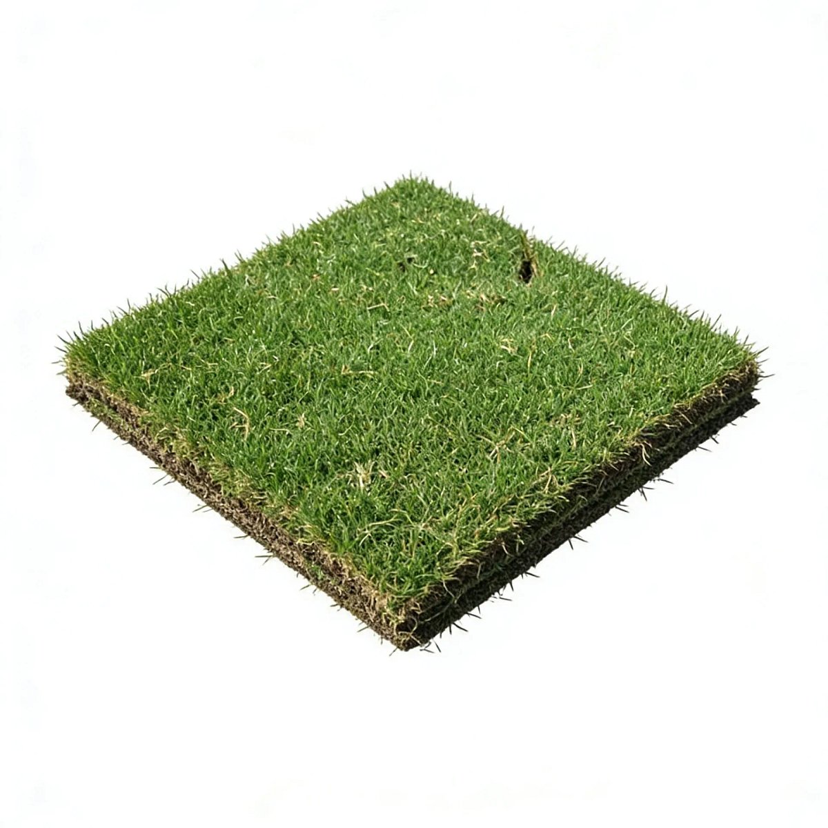 TifTuf Bermuda (slabs)