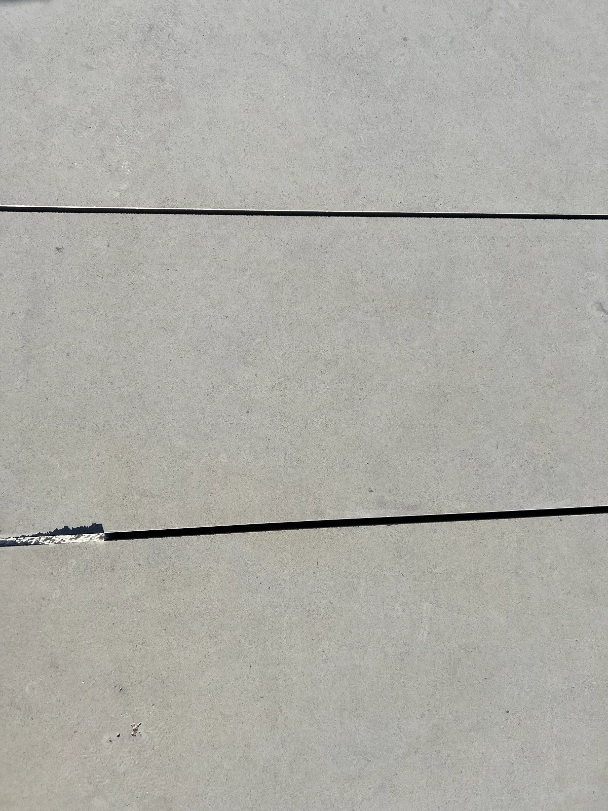 Buff Lueders 2.25"Thick